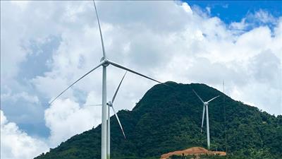 Doanh nghiệp Nhật Bản cam kết hỗ trợ quá trình chuyển đổi năng lượng của Việt Nam