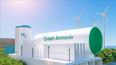 Nhà đầu tư đề xuất triển khai dự án nhà máy sản xuất hydro - amoniac xanh tại Phú Yên