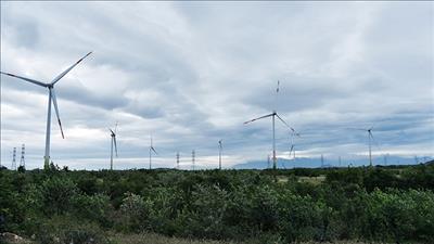 Phát điện dự án điện gió Trung Nam giai đoạn 2