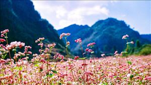 Việt Nam và Nhật Bản hợp tác phát triển du lịch sáng tạo