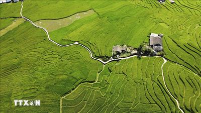 Những điểm đến đẹp nhất Việt Nam vào tháng 3