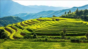 Việt Nam đón hơn 17,7 triệu khách quốc tế trong 9 tháng, đạt gần 71% kế hoạch cả năm