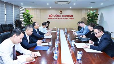 Triển khai khung khổ Đối tác năng lượng Việt Nam - Đức