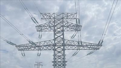 Thủ tướng chấp thuận chủ trương đầu tư dự án đường dây 220kV Hồng Ngự - Châu Đốc