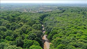 4 quy định về tiêu chuẩn xanh của EU định hình lại xu hướng tiêu dùng