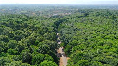 4 quy định về tiêu chuẩn xanh của EU định hình lại xu hướng tiêu dùng