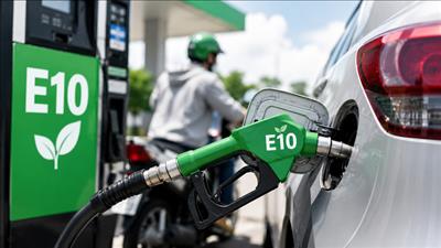 Phân phối đồng bộ xăng sinh học E10 trên toàn quốc từ ngày 1/6