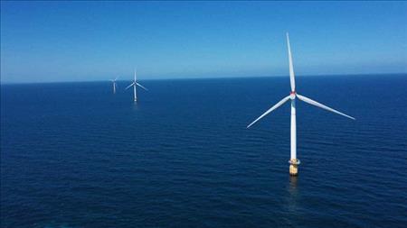 EU hợp tác với Việt Nam triển khai các sáng kiến chuyển đổi xanh, chuyển đổi năng lượng