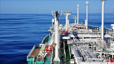 EVN trao đổi cơ hội kinh doanh chuỗi giá trị LNG với đối tác Nhật Bản