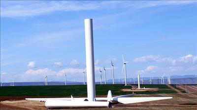 Triển khai thi công cụm trang trại điện gió trên bờ lớn nhất Việt Nam
