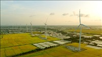 Tỉnh Cà Mau chấp thuận chủ trương đầu tư 4 dự án điện gió