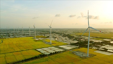 Tỉnh Cà Mau chấp thuận chủ trương đầu tư 4 dự án điện gió