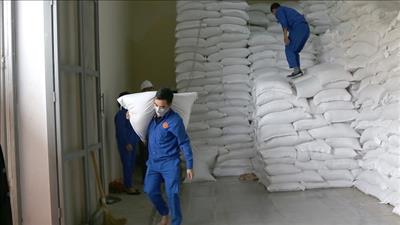 Xuất cấp gạo cho 7 tỉnh dịp Tết Nguyên đán Quý Mão