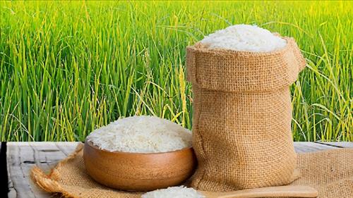 Cần chủ động tìm kiếm và khai thác những thị trường xuất khẩu gạo tiềm năng mới