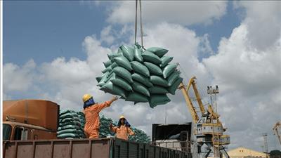 Thông qua nội dung Bản ghi nhớ hợp tác thương mại gạo Việt Nam – Singapore