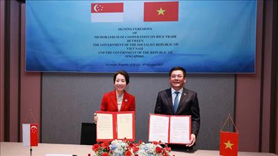 Việt Nam và Singapore ký bản ghi nhớ hợp tác thương mại gạo