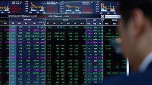 Danh mục cổ phiếu cần quan tâm ngày 12/12