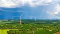 Gia Lai: Tạm dừng bổ sung quy hoạch các dự án điện gió, điện mặt trời