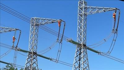Tỉnh Gia Lai cần tạo điều kiện mặt bằng để triển khai dự án lưới điện