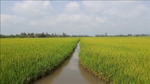 Nâng cao năng lực kiểm kê khí nhà kính, thực hiện mục tiêu giảm phát thải