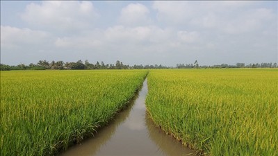 Nâng cao năng lực kiểm kê khí nhà kính, thực hiện mục tiêu giảm phát thải