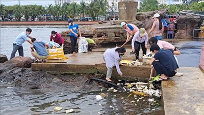 Giải pháp để sống bền vững