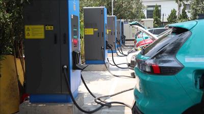 Trao đổi kinh nghiệm thúc đẩy chuyển đổi giao thông xanh