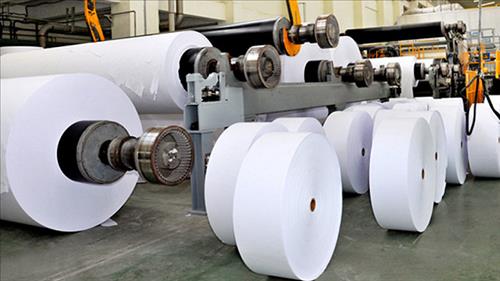 Thúc đẩy tiết kiệm năng lượng trong các doanh nghiệp ngành giấy và bột giấy