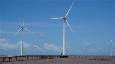 Vetas cung cấp tuabin cho giai đoạn 2 dự án điện gió Hòa Bình 1 tại Bạc Liêu