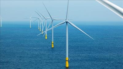 Bà Rịa - Vũng Tàu cho phép nghiên cứu dự án điện gió trên biển công suất 500MW