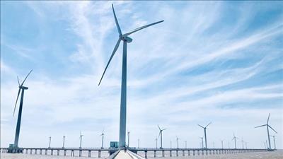 Khởi công giai đoạn 1 dự án điện gió lớn nhất tỉnh Cà Mau
