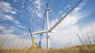 Chỉ đạo của Thủ tướng về các dự án điện gió đã hoàn thành công tác thẩm định
