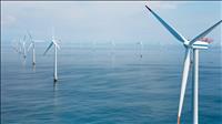 Hải Phòng và Đan Mạch hợp tác trong lĩnh vực điện gió ngoài khơi