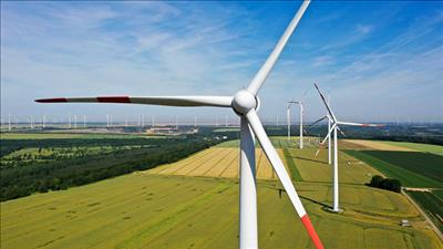 IEA: Năng lượng tái tạo mở rộng nhanh hơn nhiên liệu hóa thạch