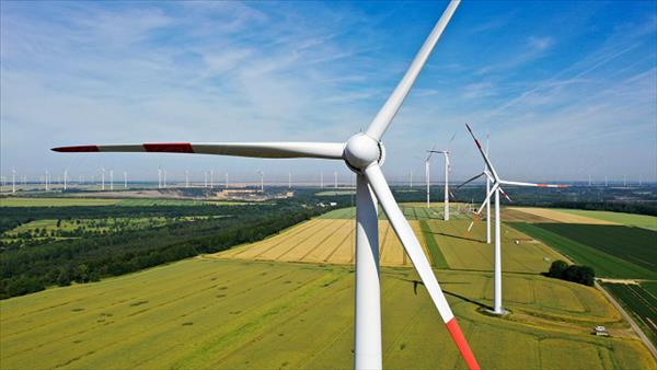 IEA: Năng lượng tái tạo mở rộng nhanh hơn nhiên liệu hóa thạch