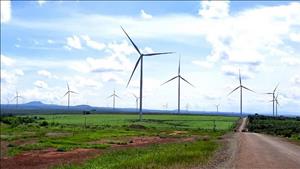 Tỉnh Gia Lai chấp thuận chủ trương đầu tư dự án điện gió Hòn Trâu giai đoạn 1