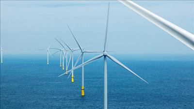 Quy định trình tự, thủ tục giao doanh nghiệp Nhà nước khảo sát dự án điện gió ngoài khơi