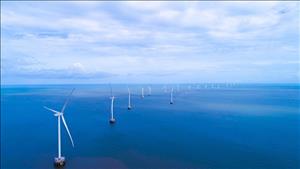 Giao 2 khu vực biển phục vụ khảo sát phát triển điện gió ngoài khơi