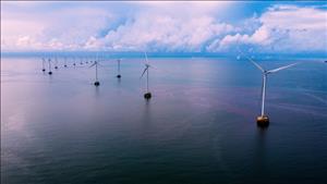 Tỉnh Cà Mau chấp thuận chủ trương đầu tư hai dự án điện gió