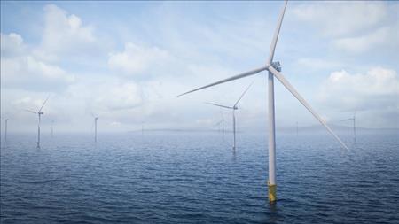 Phê duyệt nhà đầu tư thực hiện dự án Nhà máy điện gió Hòn Trâu