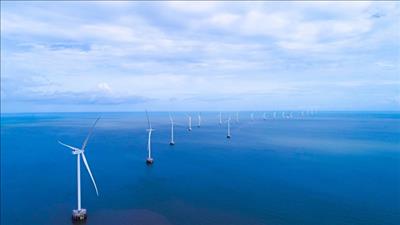 Chương trình Net Zero – Gửi tương lai