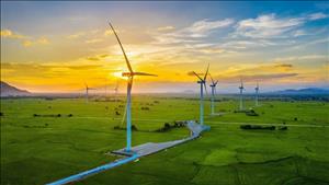 Thúc đẩy cơ hội đầu tư trong lĩnh vực điện gió, năng lượng tái tạo tại Việt Nam