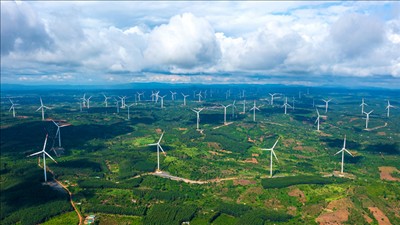 Bản tin năng lượng số 30/2026