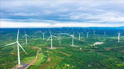 Chấp thuận chủ trương đầu tư dự án Nhà máy điện gió Ea Sin