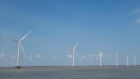 Tỉnh Cà Mau khởi động hai dự án điện gió với tổng công suất 150 MW