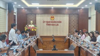 EVNNPT và ADB làm việc với UBND tỉnh Gia Lai về thẩm định tài trợ vốn ODA cho dự án đường dây 500kV