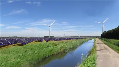 Hà Lan sẵn sàng hợp tác với Việt Nam về năng lượng tái tạo
