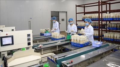 Hà Nội thúc đẩy phát triển kinh tế ngành để đạt mục tiêu tăng trưởng 8% trở lên