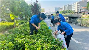 Thành phố Hà Nội đồng loạt ra quân tổng vệ sinh môi trường tại 126 xã, phường