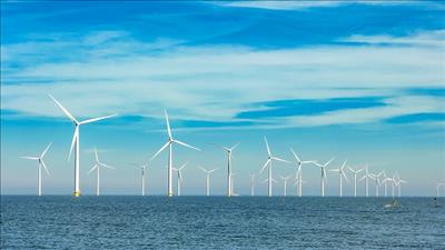 Tập đoàn Đan Mạch mong muốn đầu tư điện gió ngoài khơi tại Hải Phòng